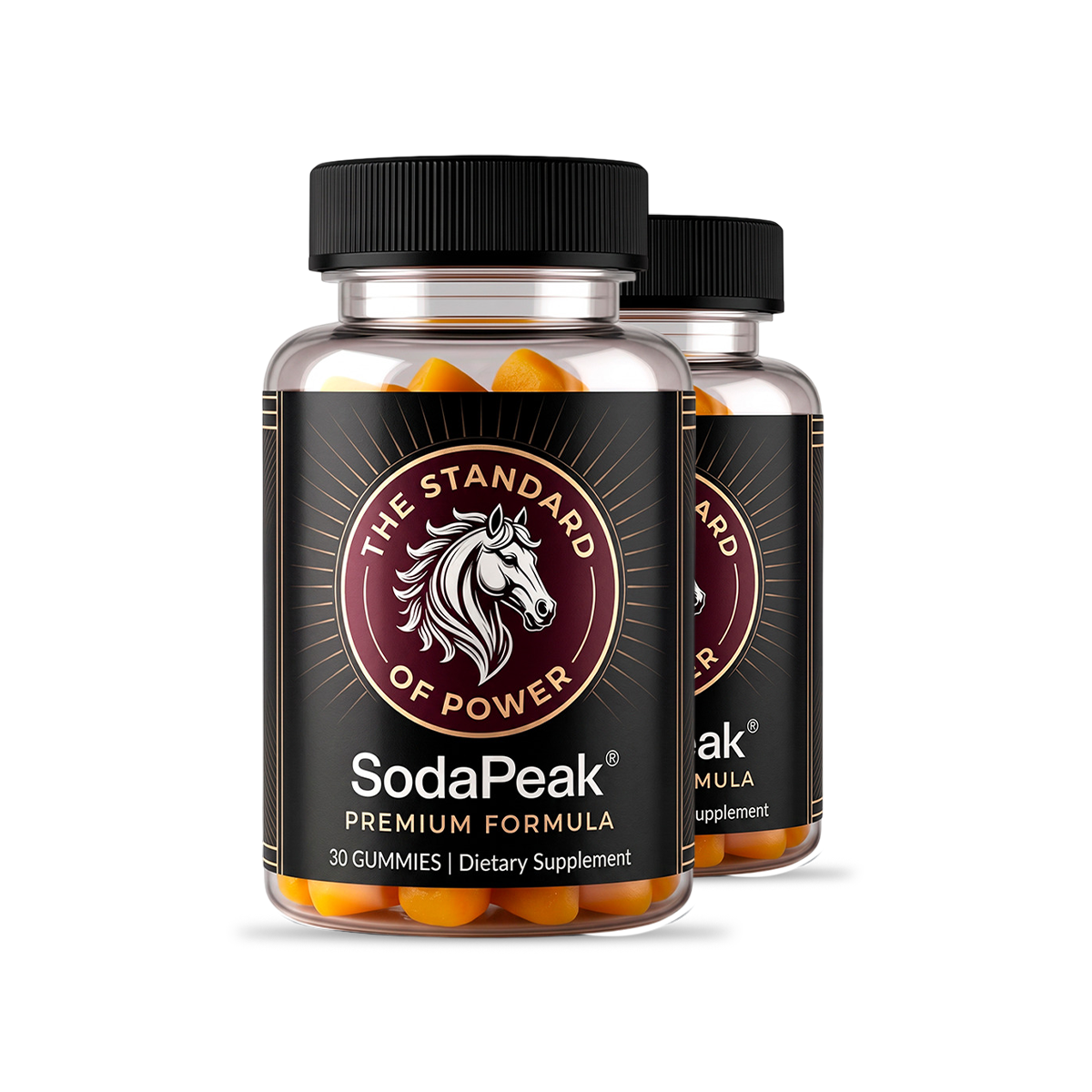 SodaPeak 2 bottles