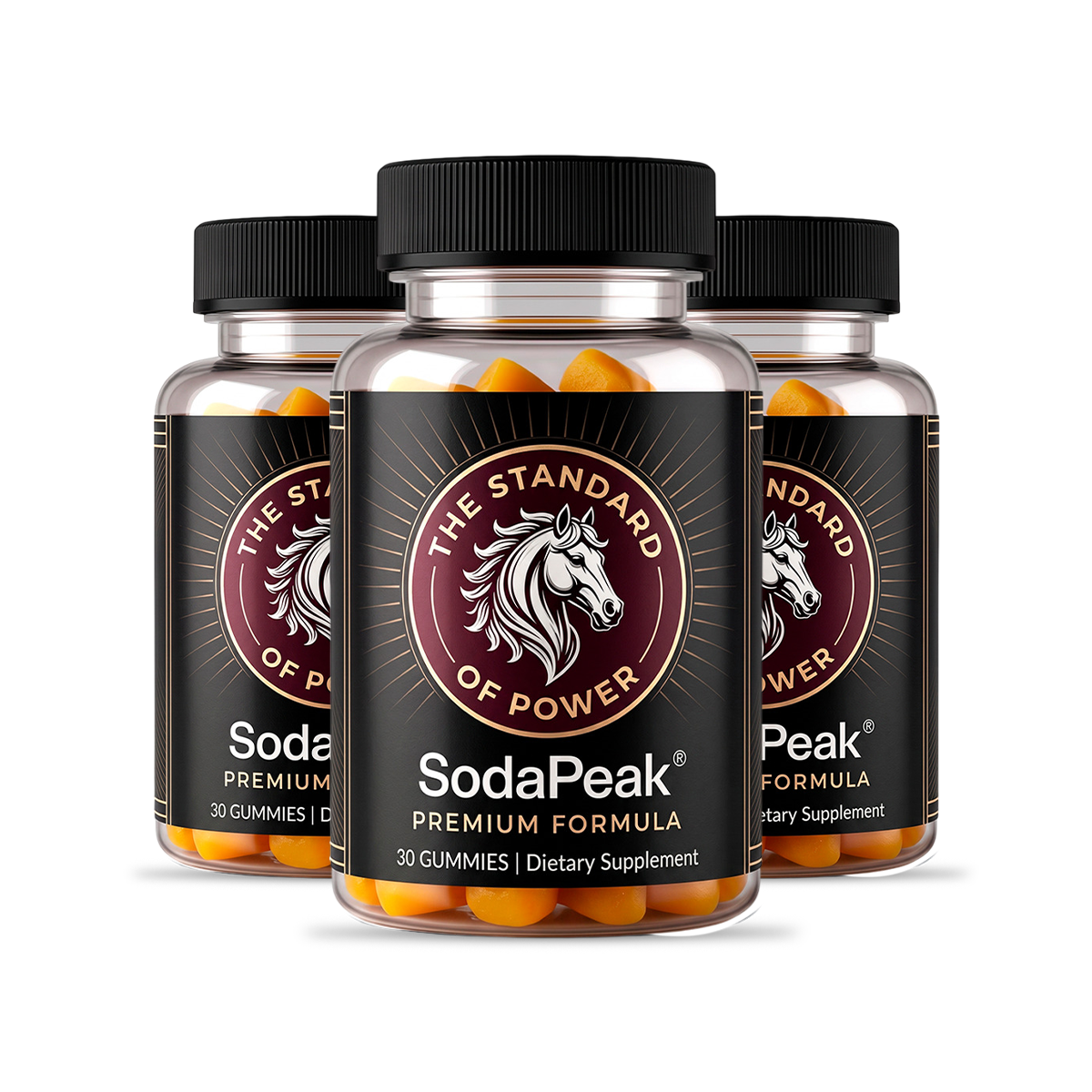 SodaPeak 3 bottles