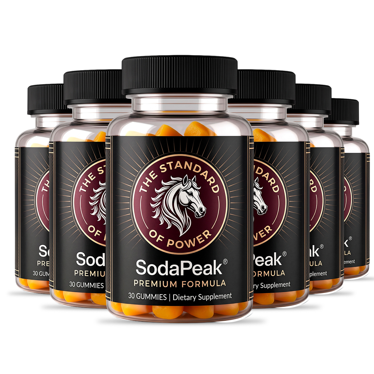 SodaPeak 6 bottles